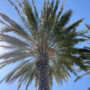 Meet your Posher, Brian & sonia